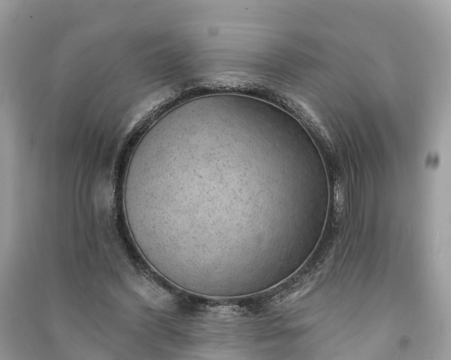 X0000091000396200708091544