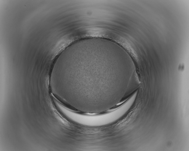 X0000091000397200708091544