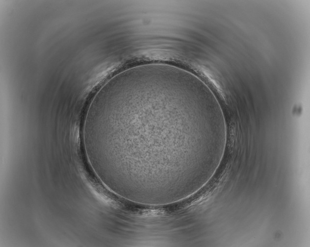 X0000091000398200708091544
