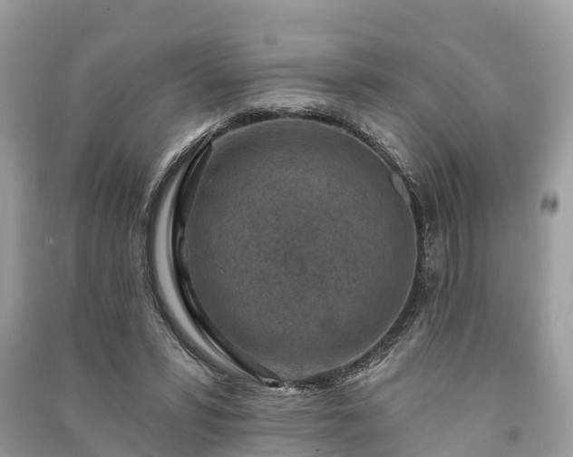 X0000091000399200708091544