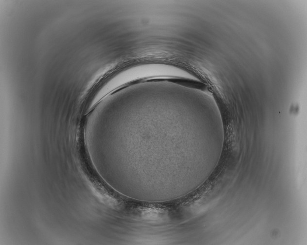 X0000091000400200708091544