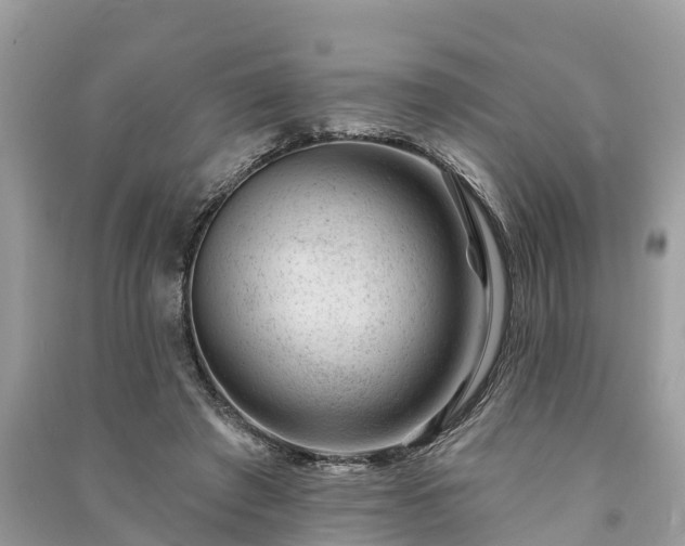 X0000091000401200708091544