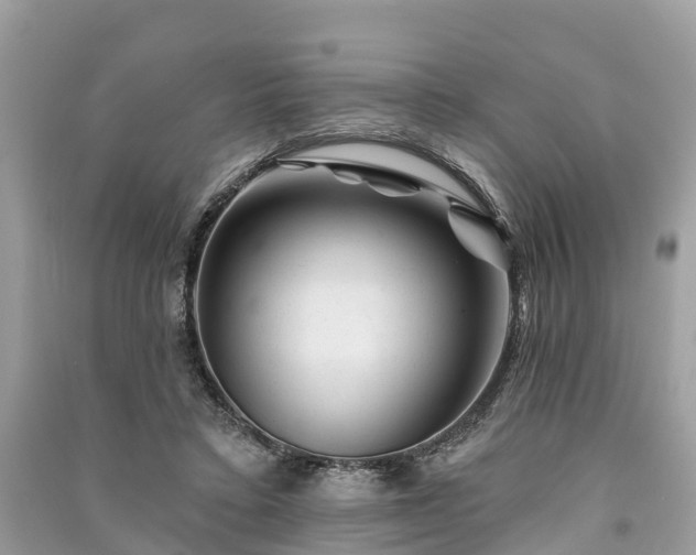 X0000091000403200708091544