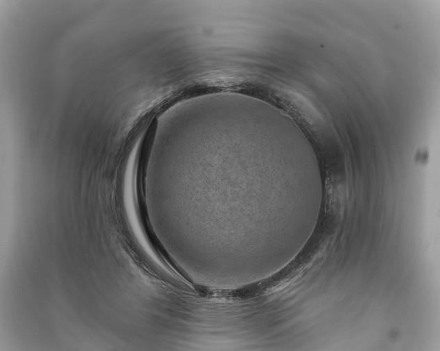 X0000091000404200708091544