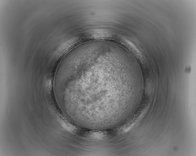 X0000091000405200708091544