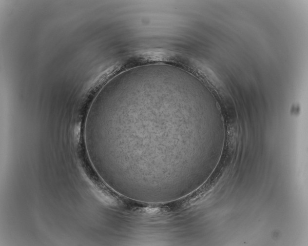 X0000091000406200708091544