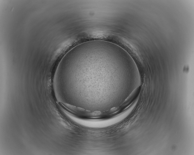 X0000091000407200708091544