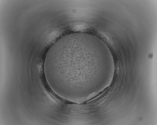 X0000091000408200708091544