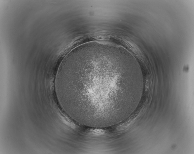 X0000091000409200708091544