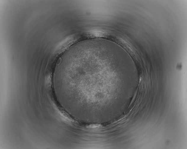 X0000091000410200708091544