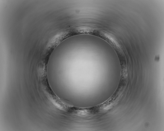X0000091000411200708091544