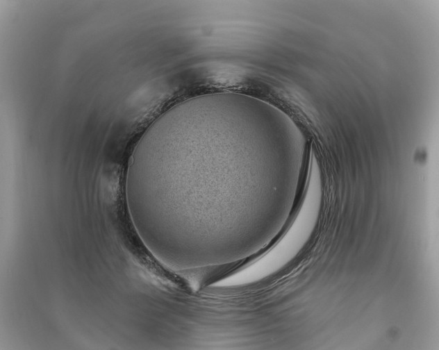 X0000091000412200708091544