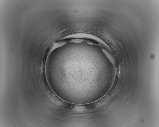 X0000091000413200708091544