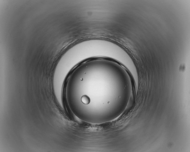 X0000091000415200708091544