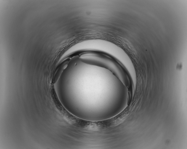 X0000091000416200708091544