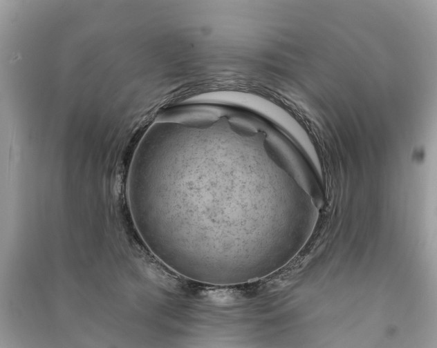 X0000091000417200708091544