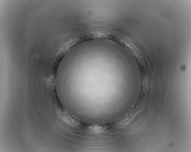 X0000091000419200708091544