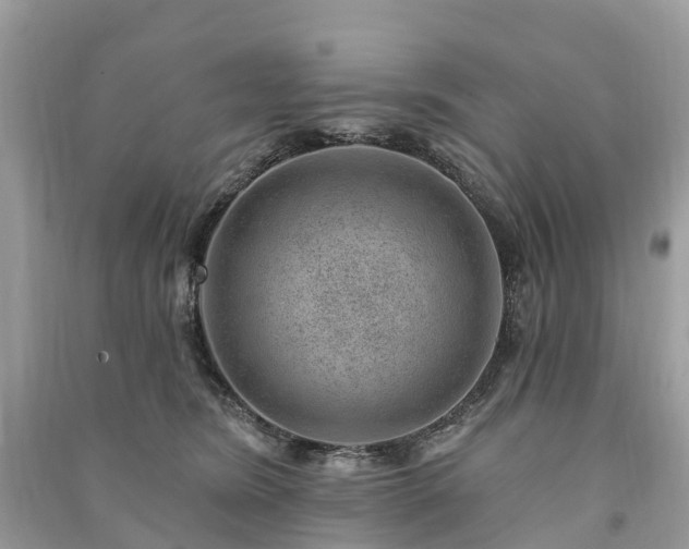 X0000091000420200708091544