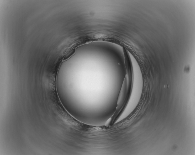 X0000091000421200708091544