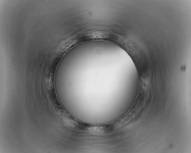 X0000091000422200708091544