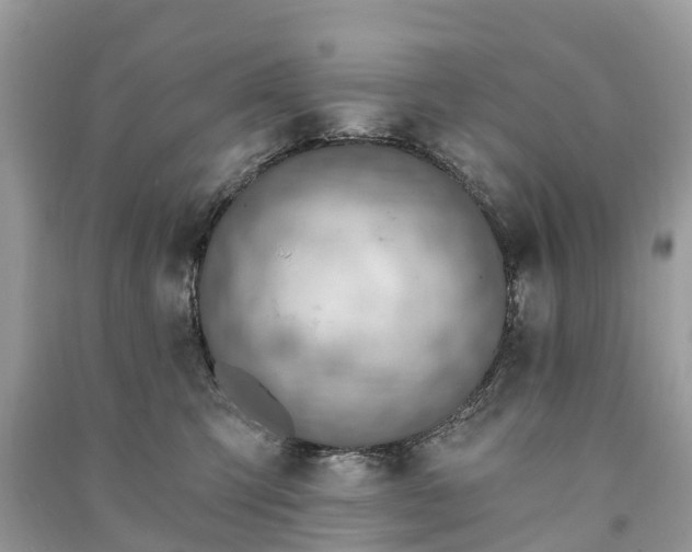 X0000091000423200708091544