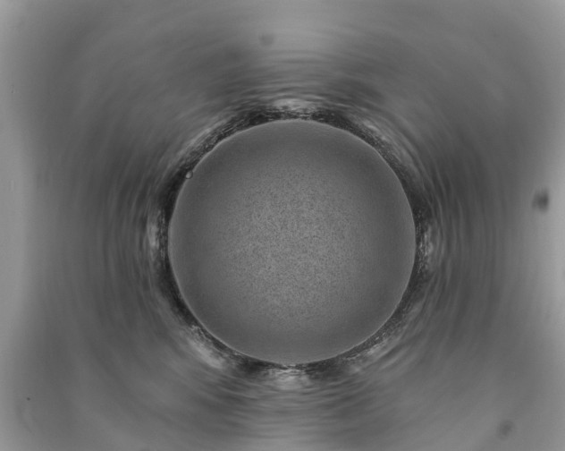 X0000091000424200708091544