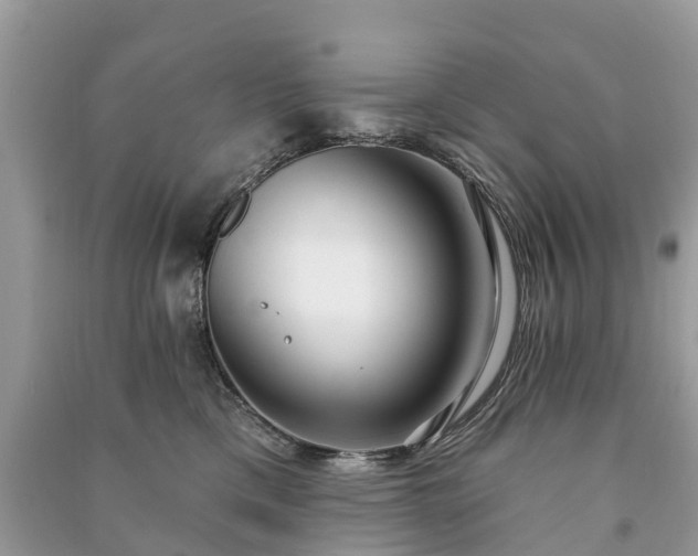 X0000091000425200708091544