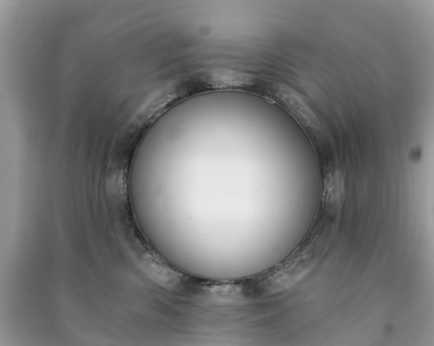 X0000091000426200708091544