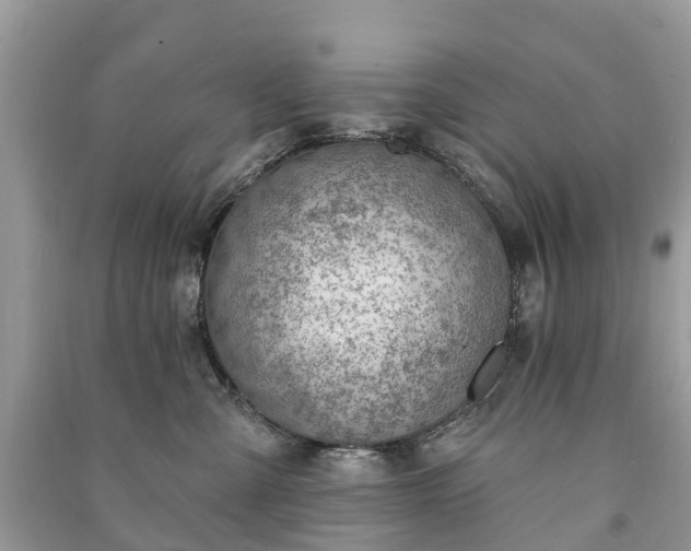 X0000091000427200708091544