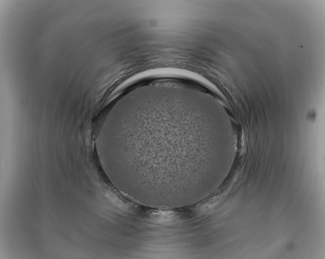 X0000091000428200708091544
