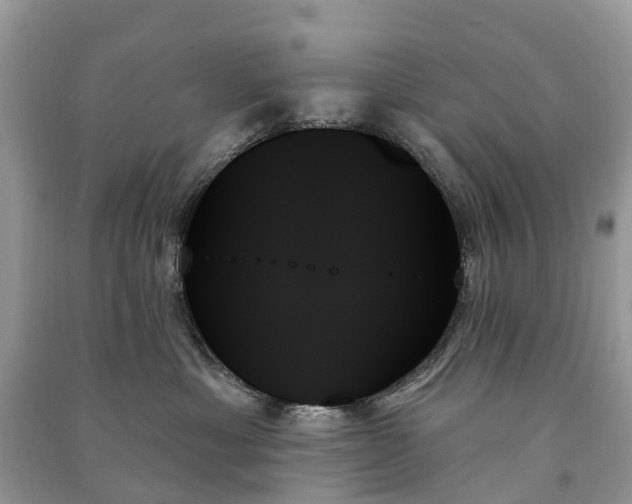 X0000091000429200708091544