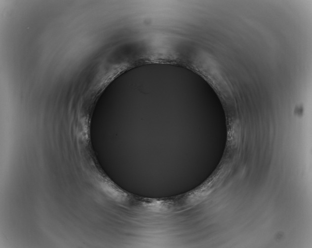 X0000091000430200708091544
