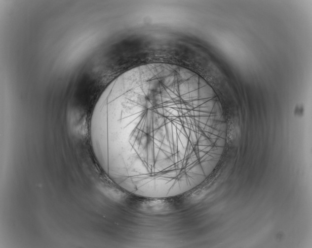 X0000091000431200708091544