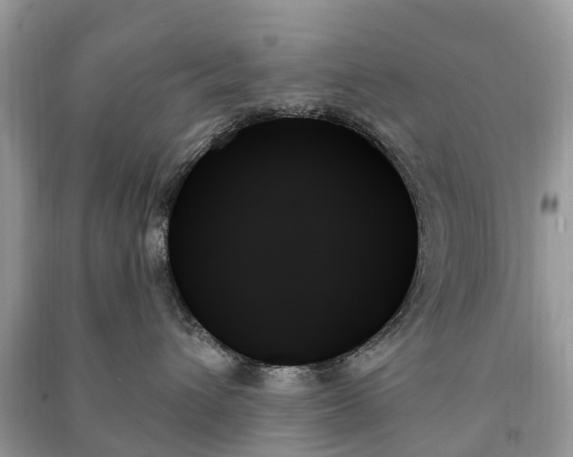 X0000091000432200708091544