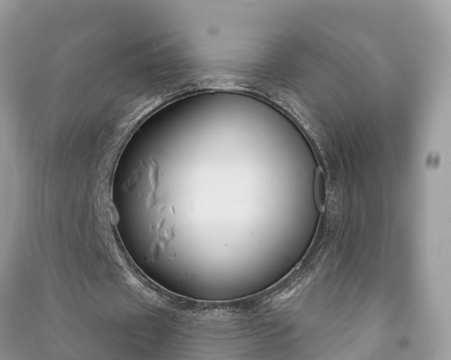 X0000091000433200708091543