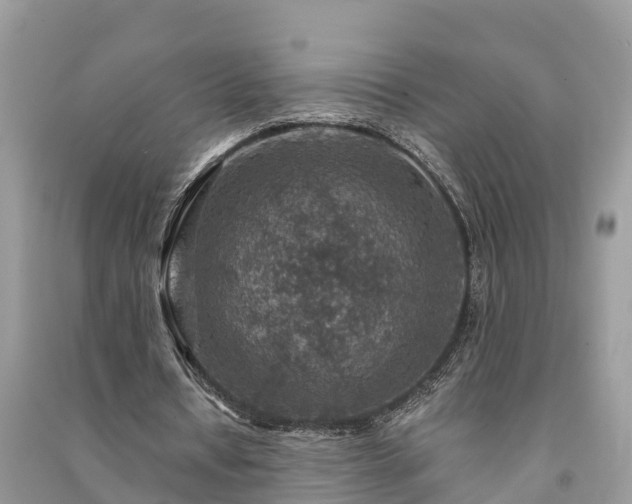X0000091000434200708091543