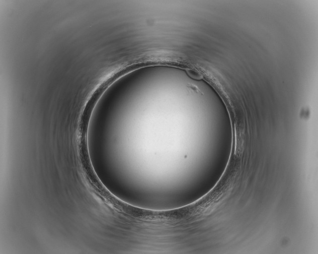 X0000091000435200708091543