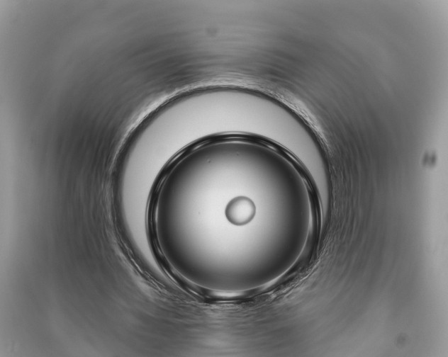X0000091000436200708091543