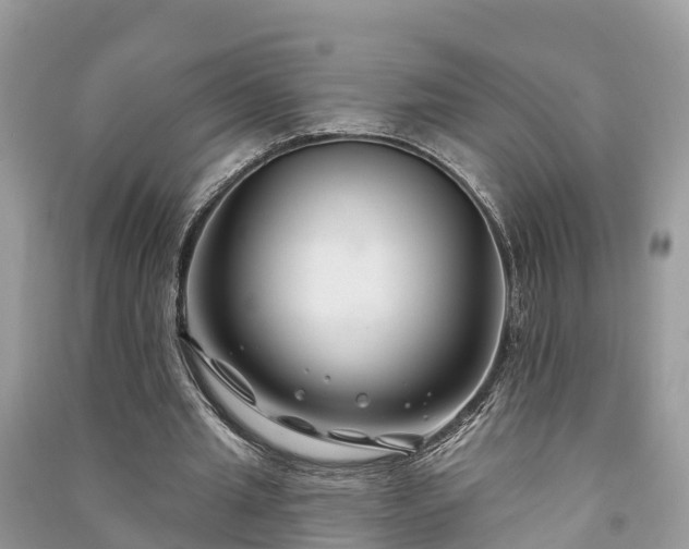 X0000091000437200708091543