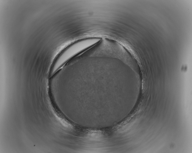 X0000091000438200708091543