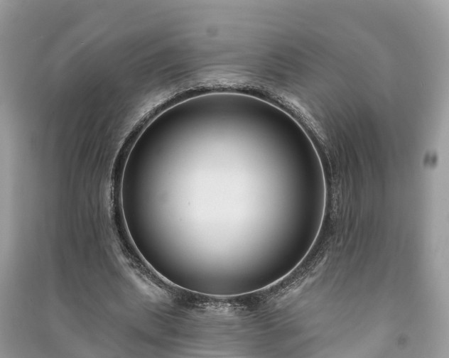 X0000091000439200708091543