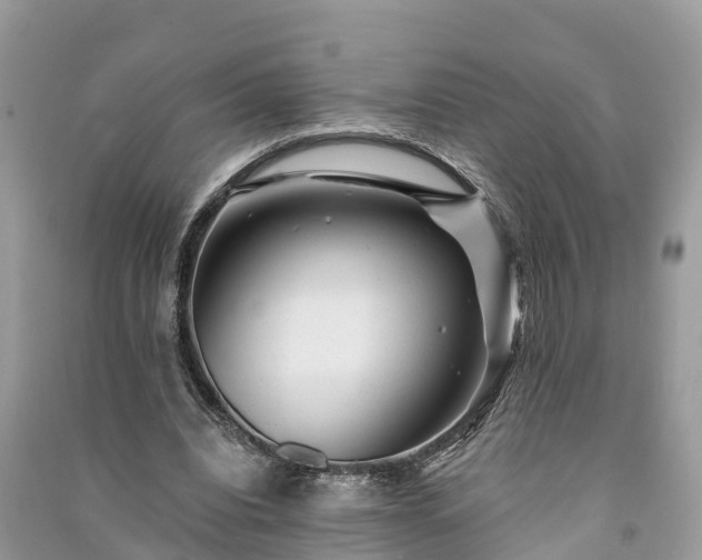X0000091000440200708091543