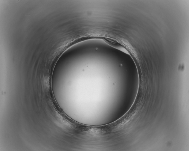 X0000091000441200708091543