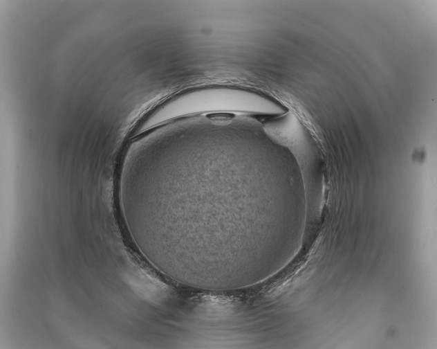 X0000091000442200708091543