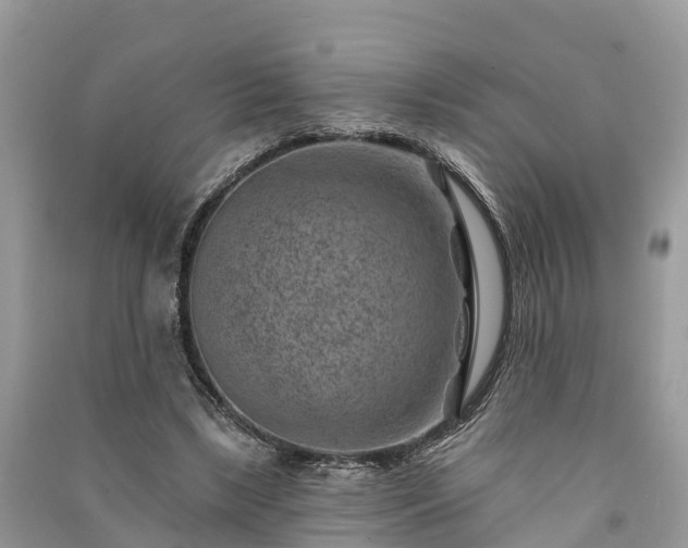 X0000091000443200708091543