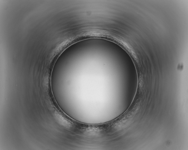 X0000091000445200708091543