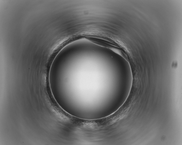 X0000091000446200708091543