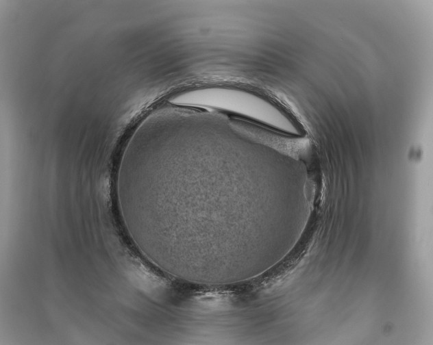 X0000091000447200708091543
