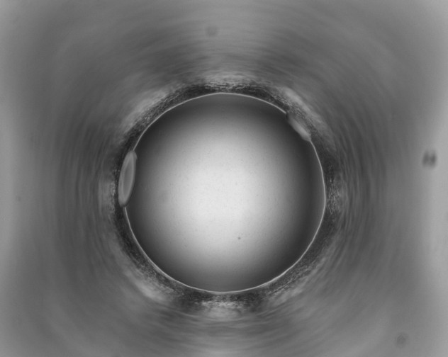 X0000091000448200708091543