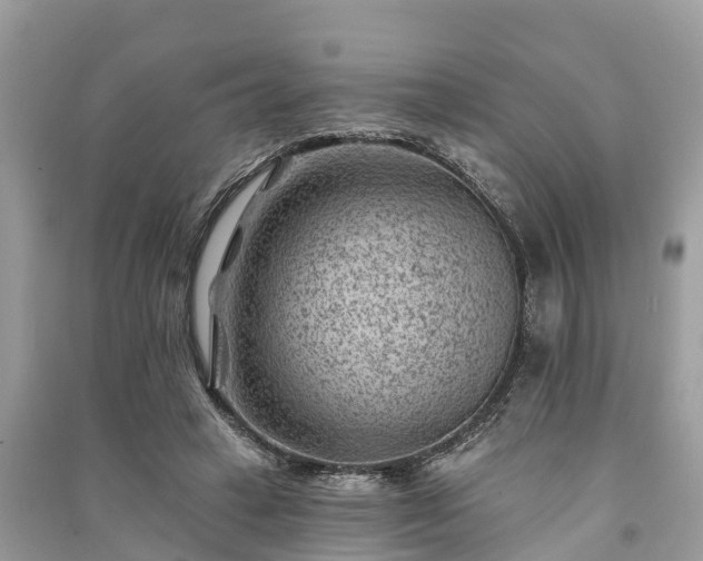 X0000091000449200708091543